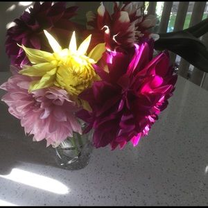 Meet your Posher, Cindy